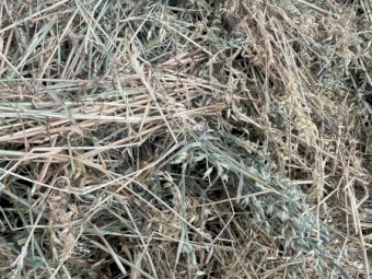 Oaten/Rye pasture rolls