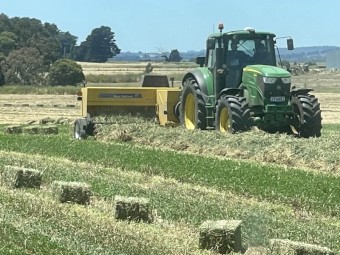 Pasture Hay Small Squares