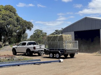 Pasture Hay Small Squares
