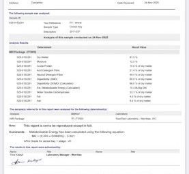 Wheaten Cereal Hay A1 Grade