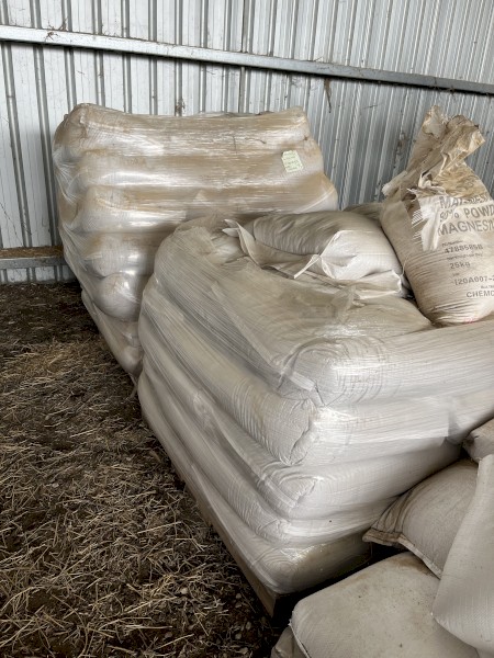 Phalaris Pasture Seed