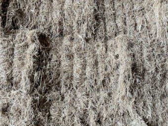 170mt Ryegrass/Clover Hay 8x4x3 Bales