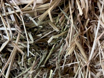 170mt Ryegrass/Clover Hay 8x4x3 Bales