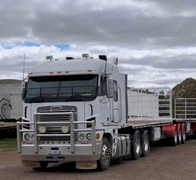 2008 Freightliner Argosy Prime Mover
