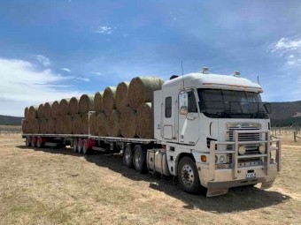 2008 Freightliner Argosy Prime Mover