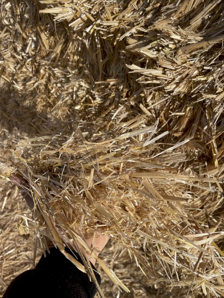 Oaten Straw 8x4x3 Bales (New Season 22/23)