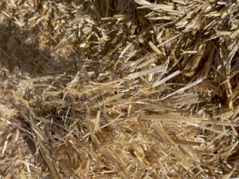 Oaten Straw 8x4x3 Bales (New Season 22/23)
