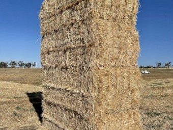 Oaten Straw 8x4x3 Bales (New Season 22/23)