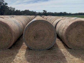 95mt First Cut Lucerne 380kg 5x4 Rolls