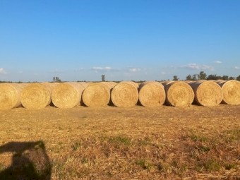 200 x Oaten Hay 5x4 Bales