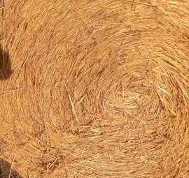 200 x Oaten Hay 5x4 Bales