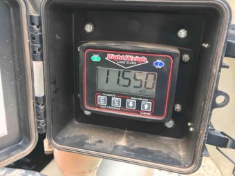 3 x Rightweigh Digital Weigh Load Scales