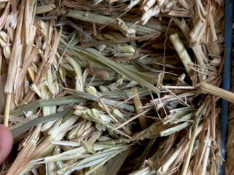 90mt Wheaten Hay 620kg 8x4x3 Bales