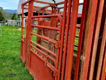 RPM Allrounder Cattle Crush