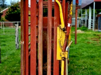 RPM Allrounder Cattle Crush