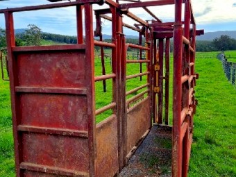 RPM Allrounder Cattle Crush