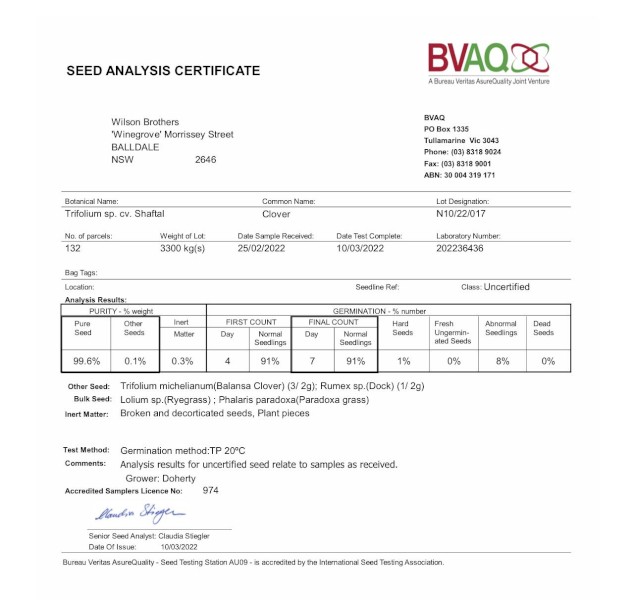 Persian  / Shaftel Clover Seed