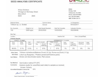 Persian  / Shaftel Clover Seed