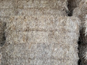 Oaten/Lucerne Hay 8x4x3 or 8x4x4 Bales