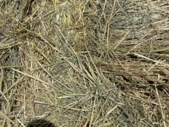 1000mt Oaten Hay 500kg 8x4x3 Bales