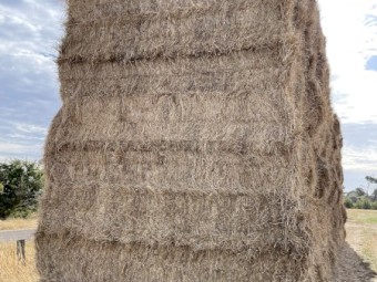 155mt Rye/Barley Hay 645kg 8x4x3 Bales (New Season 22/23)