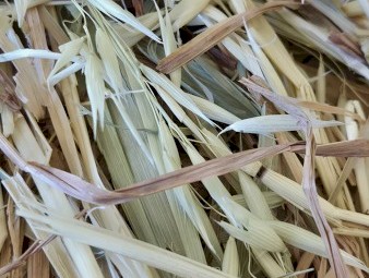 Oaten Hay 4x4 Round Bales