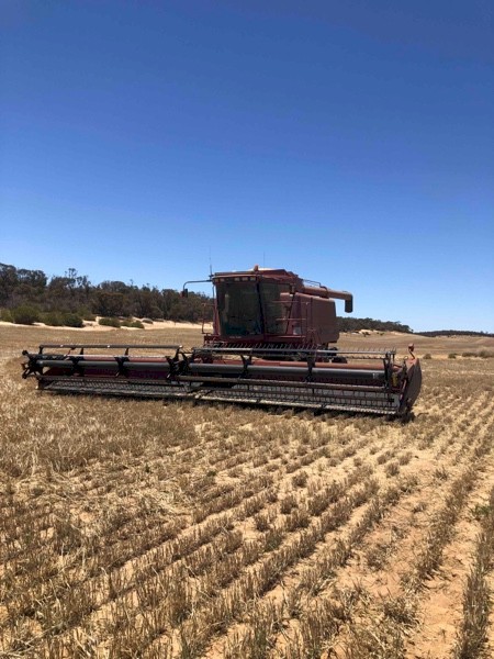 2000 Case IH 2388 with 36ft 1042 Draper Front