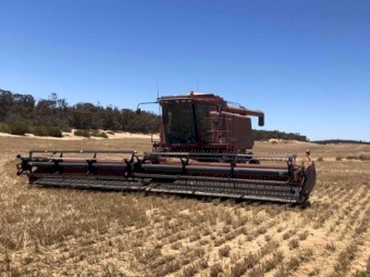 2000 Case IH 2388 with 36ft 1042 Draper Front