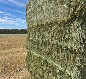Wheaten Hay 680kg 8x4x3 Bales