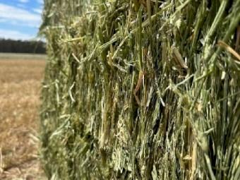 Wheaten Hay 680kg 8x4x3 Bales