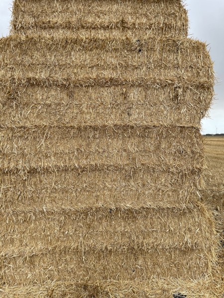 270mt Wheaten Straw 420-450kg 8x4x3 Bales (New Season 22/23)