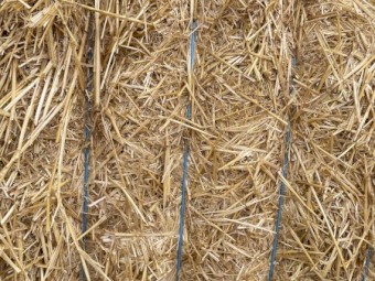 270mt Wheaten Straw 420-450kg 8x4x3 Bales (New Season 22/23)