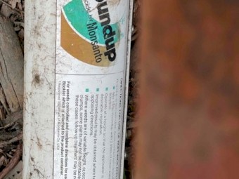 Winstone  12 ft Wickwiper