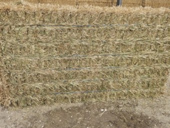 250mt Oaten Hay 620-650kg 8x4x3 Bales