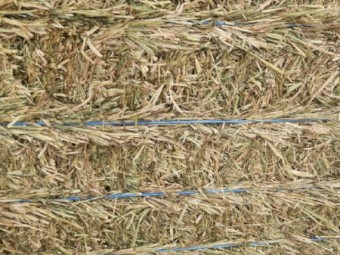 250mt Oaten Hay 620-650kg 8x4x3 Bales