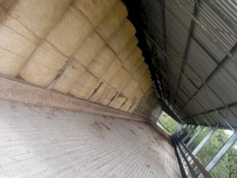 150 Local Pasture 5x4 rounds