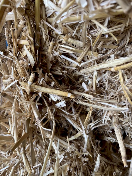 Wheat straw tailings