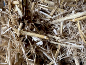 Wheat straw tailings