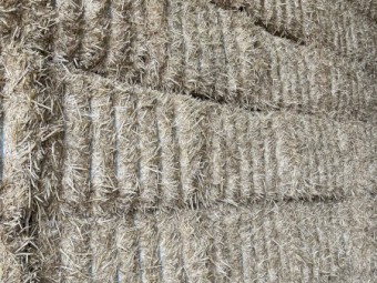 Wheat straw tailings