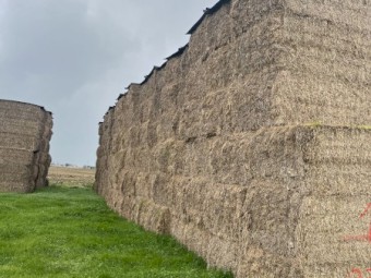 67mt Clover and Pasture Hay 550kg 8x4x3 Bales