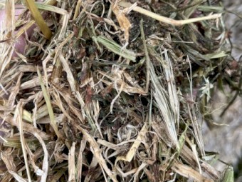 67mt Clover and Pasture Hay 550kg 8x4x3 Bales