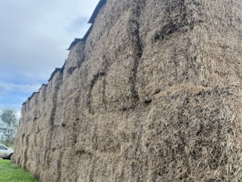67mt Clover and Pasture Hay 550kg 8x4x3 Bales