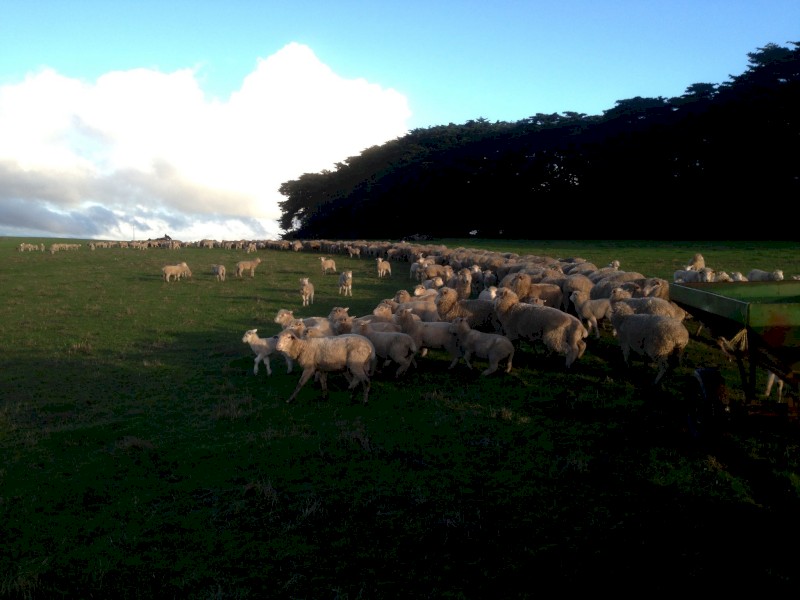 WANTED Lease Property