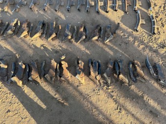 42 x Dutch Industry Seed Boots