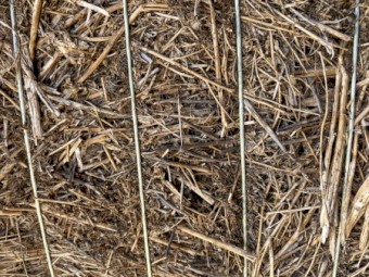 100mt Canola Hay 8x4x3 Bales