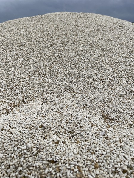 15000kg Safflower Seed