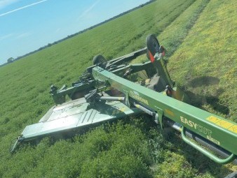 EOI Vetch Hay 8x4x3 Bales