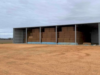 2020 Vetch Hay 620kg 8x4x3 Bales