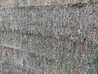 2020 Vetch Hay 620kg 8x4x3 Bales
