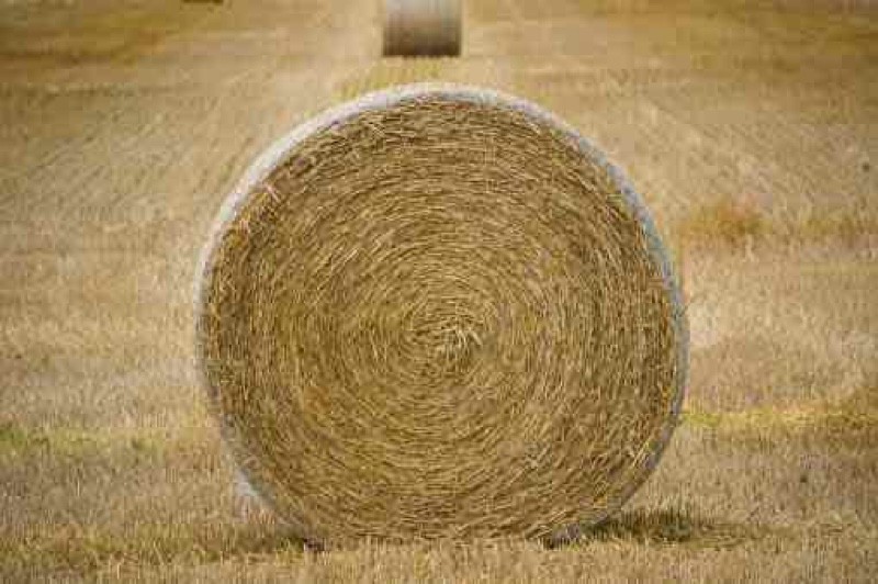 Round Hay Bales